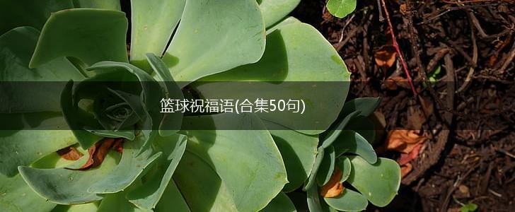 如何帮助青少年篮球运动员处理比赛中的情绪波动_2